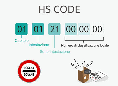 schema esempio HS code