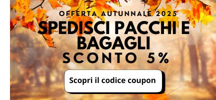 banner codice sconto spedizione