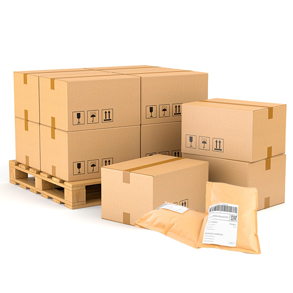 spedisci pacchi buste e pallet