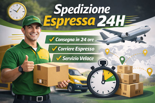 Spedizione espressa veloce 24h