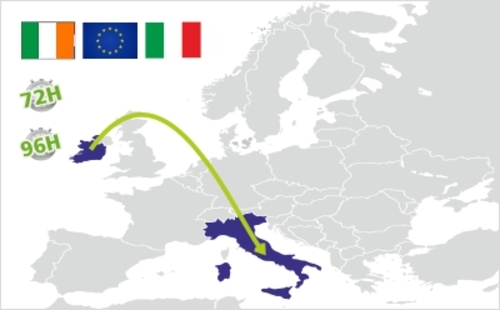 spedizione dall irlanda repubblica all italia