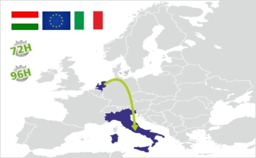 spedizione dall ungheria all italia
